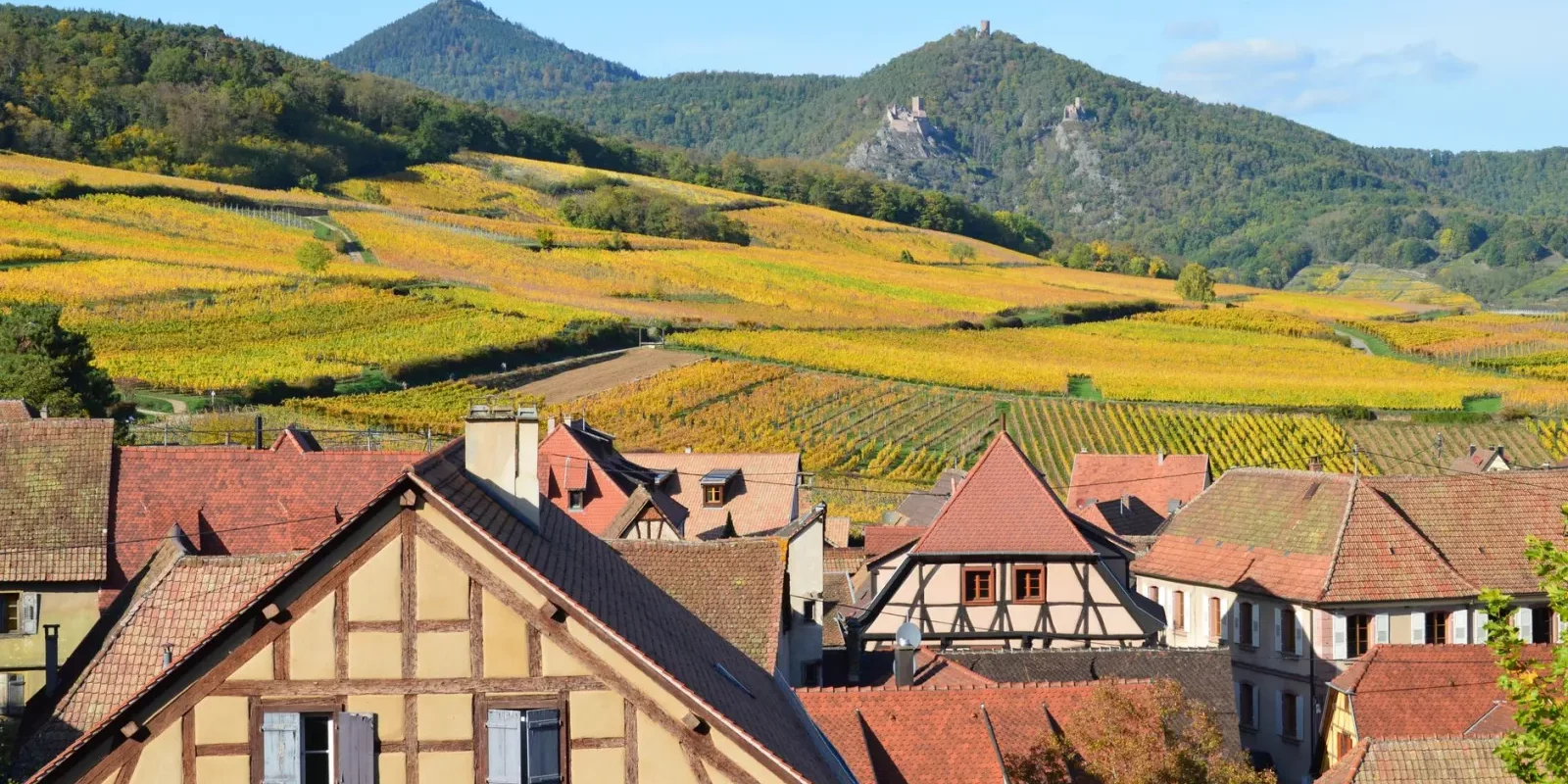 Vignes et village alsacien sur la Route des Vins