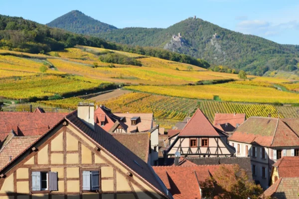 Vignes et village alsacien sur la Route des Vins